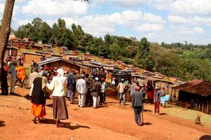 Mau Forest evictees 