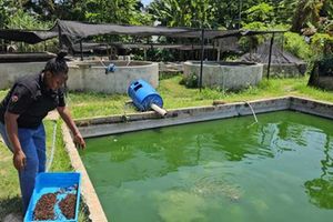 Eliana Nyaguthii Macharia