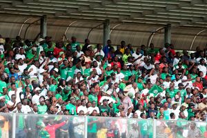 Gor fans