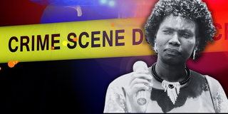 Nation inside - 2025-04-29T131142.761