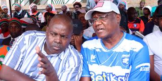 DNMULEMBESUMMIT0405g