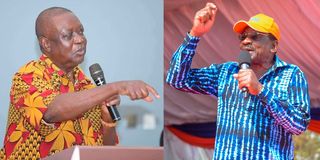 Oburu Oginga and James Orengo