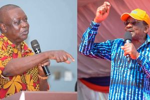 Oburu Oginga and James Orengo