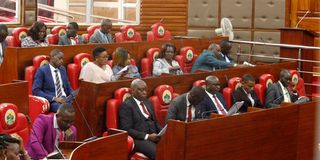 Meru County Assembly