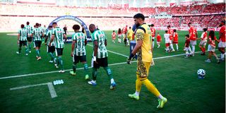 Brasileiro Championship