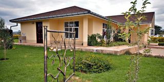 New Content Item (1)