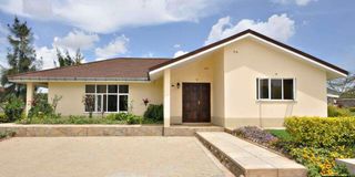 New Content Item (1)