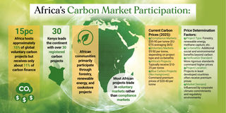 Carbon credits graphic3