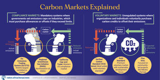 Carbon credits graphic
