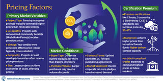 Carbon credits graphic5