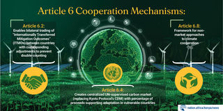 Carbon credits graphic2