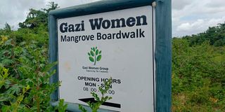 Entrance to Gazi Women Mangrove Broadwalk initiative inside Mikoko Pamoja Project Photo|LEON LIDIGU