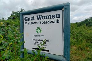 Entrance to Gazi Women Mangrove Broadwalk initiative inside Mikoko Pamoja Project Photo|LEON LIDIGU