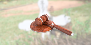 Nation inside - 2025-05-15T113834.948