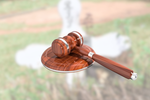 Nation inside - 2025-05-15T113834.948