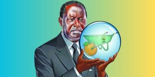 Raila Odinga