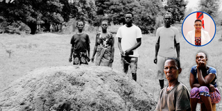 Nation inside - 2025-05-22T072703.178