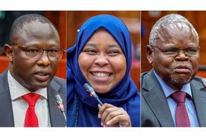 IEBC nominees