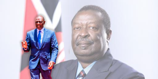 William Ruto and Musalia Mudavadi
