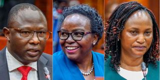 IEBC nominees 