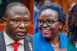 IEBC nominees 