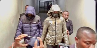 WhatsApp Image 2025-06-19 at 12.37.05 (1)