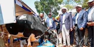 William Ruto and Kithure Kindiki