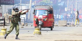 WhatsApp Image 2025-06-25 at 12.27.34