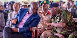 President William Ruto 