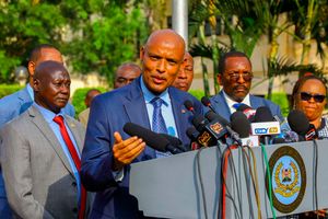 Mohammed Ibrahim Amin 