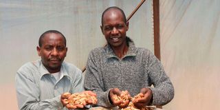 Nyangorora Banana Processors