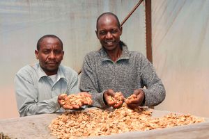 Nyangorora Banana Processors