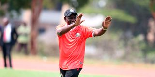 DnsportsHarambee1607aaa