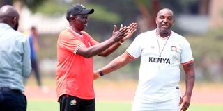 DnsportsHarambee1607dd