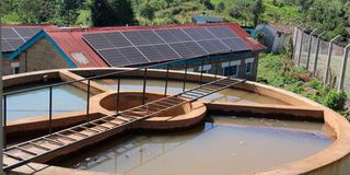 New Content Item (1)