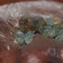 Coltan