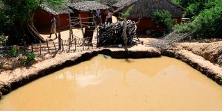 DNCOASTMACKENZIE1804V