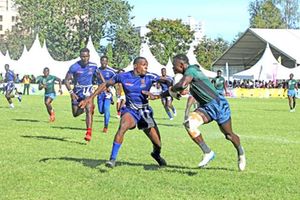 rugby 