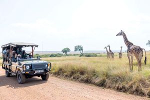 Game drive