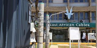 East African Cables manufacturing plant
