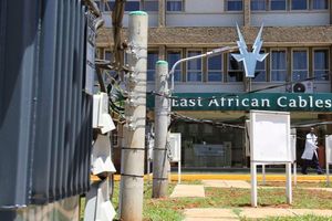 East African Cables manufacturing plant