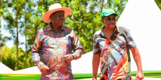 Raila Odinga and James Orengo