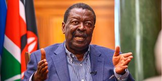 Musalia Mudavadi