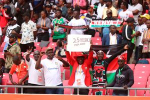 Kenyan fans