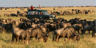 Maasai Mara