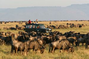 Maasai Mara