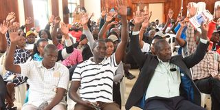 Public participation 