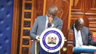 WhatsApp Image 2025-08-27 at 12.14.00