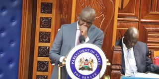 WhatsApp Image 2025-08-28 at 07.02.31