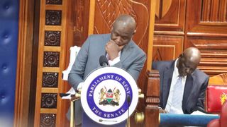 WhatsApp Image 2025-08-28 at 07.02.32 (1)